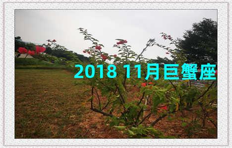 2018 11月巨蟹座